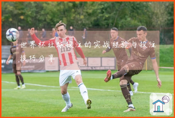 世界杯让球投注的实战经验与投注技巧分享