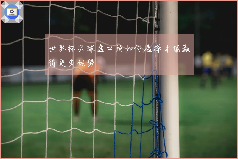 世界杯买球盘口该如何选择才能赢得更多优势
