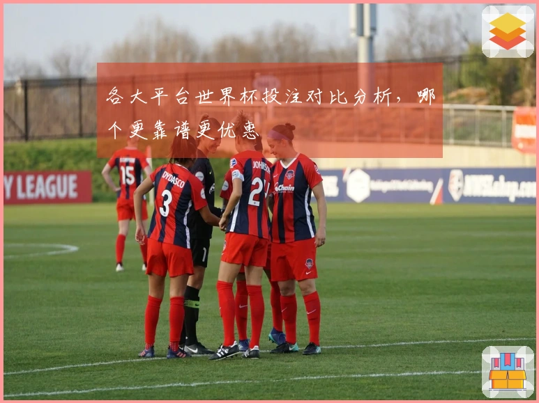 各大平台世界杯投注对比分析，哪个更靠谱更优惠