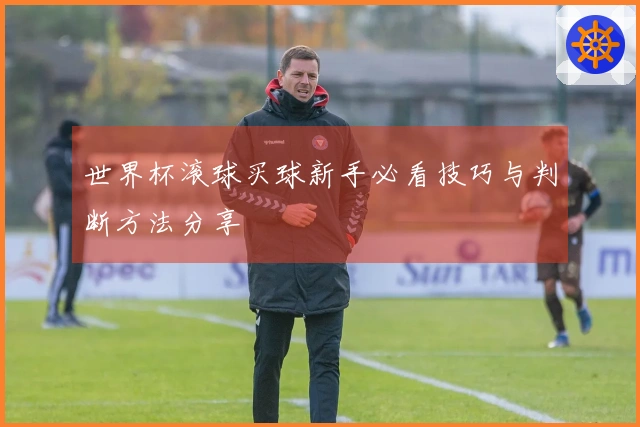 世界杯滚球买球新手必看技巧与判断方法分享