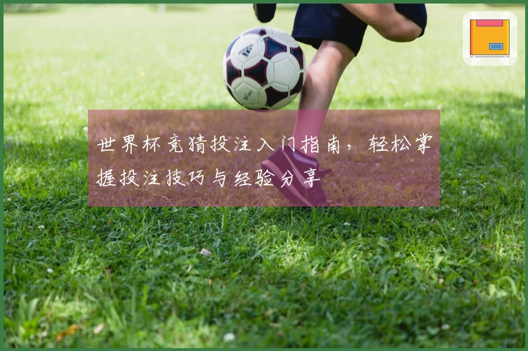 世界杯竞猜投注入门指南，轻松掌握投注技巧与经验分享