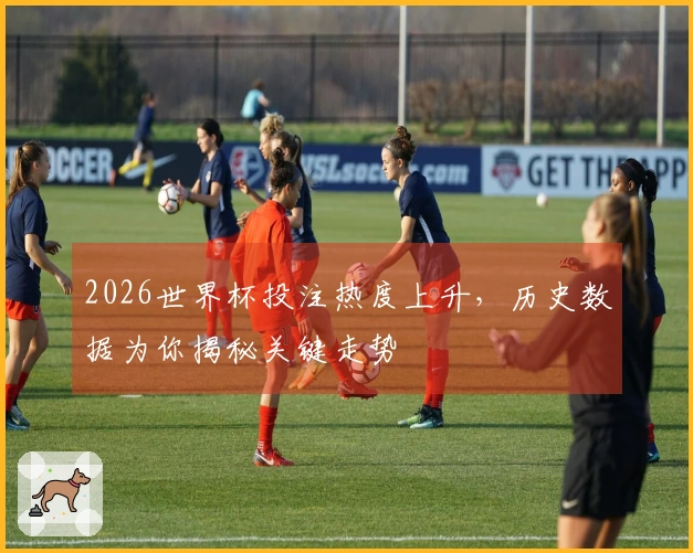 2026世界杯投注热度上升，历史数据为你揭秘关键走势