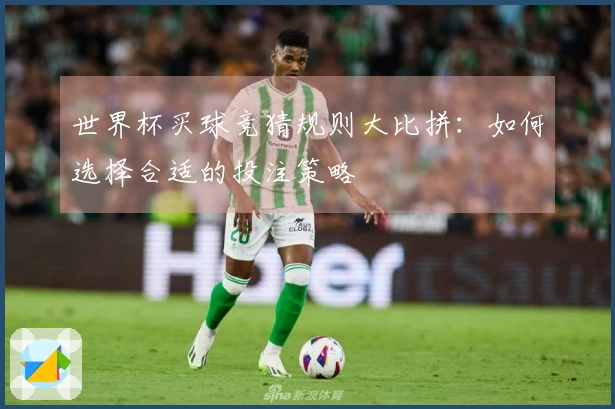 世界杯买球竞猜规则大比拼：如何选择合适的投注策略
