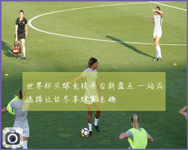 世界杯买球竞猜平台新盘点 一站式选择让你尽享球赛乐趣