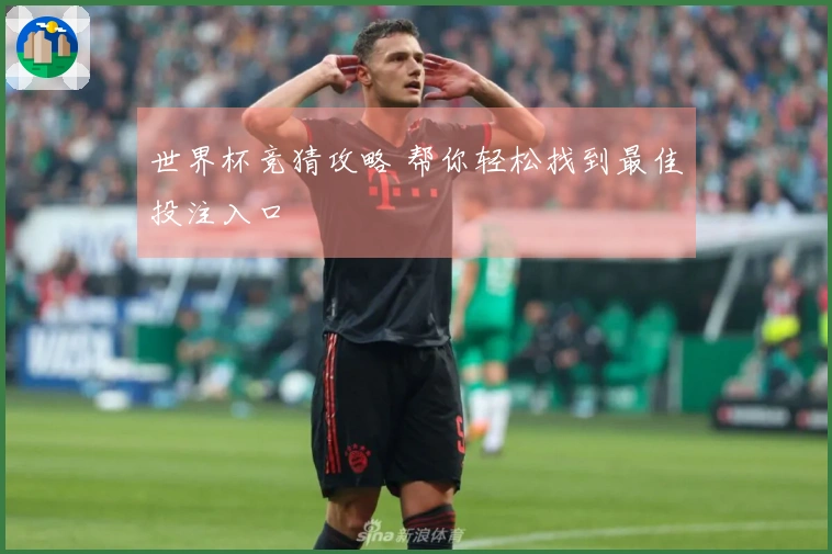 世界杯竞猜攻略 帮你轻松找到最佳投注入口