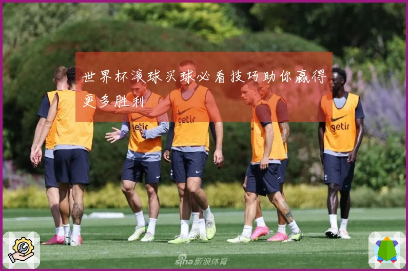 世界杯滚球买球必看技巧助你赢得更多胜利