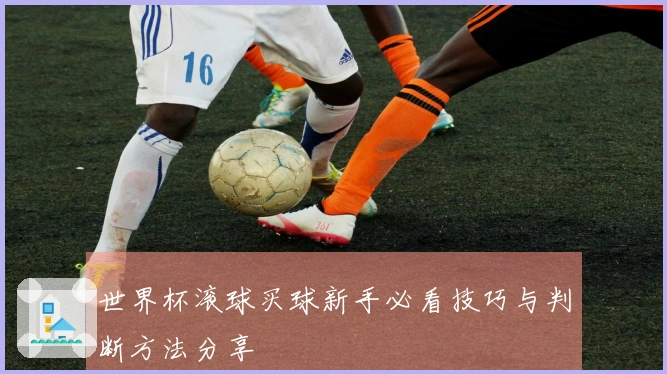 世界杯滚球买球新手必看技巧与判断方法分享